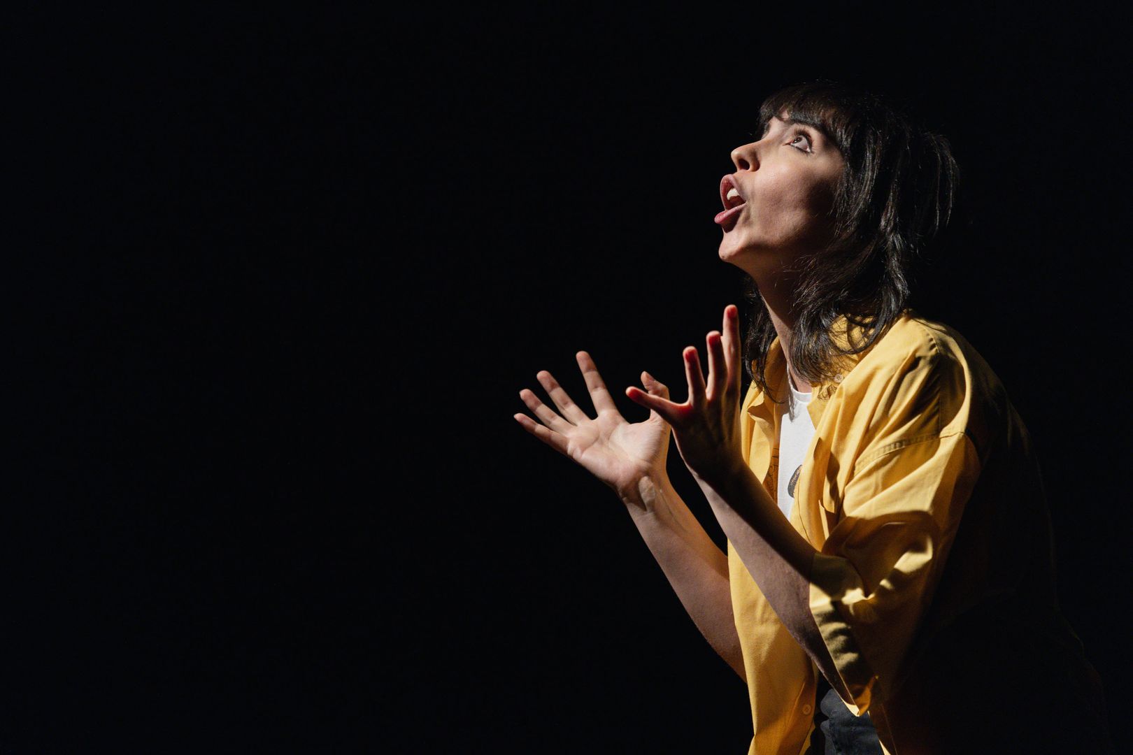 Spettacoli Teatro dell'Argine